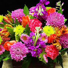 Konya Williams (@tkwilliamsk7250) • Instagram photos and videos