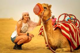 Camel ride (about 45 minutes). Camel Riding In Dubai Travel Needs Help