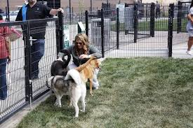 Our policy at waggin' tails pet rescue is to aide and assist any and all misplaced, abandoned, neglected, and abused dogs and cats. Cicero Cuts Ribbon On New State Of The Art Animal Shelter Oak Park Il Patch