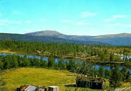 1.8k views · march 9. Hedmark Fylke Tynset Kommune Parti Fra Svarthammersetra Utg Normann Natural Landmarks Tynset Normann
