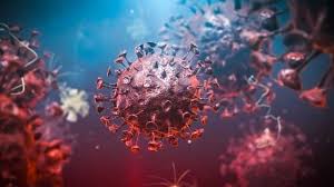 To arrange a coronavirus antigen test, book an appointment on our website. New Covid 19 Test Could Cut False Negatives And Deliver Faster Results Technology Networks