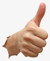 Get inspired by our community of talented artists. Pepe Hands Up Gif Pepo Emotes Transparent Png 1027x731 Free Download On Nicepng