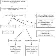 N impingement of the undersurface of the reflective pulley system and of the subscapularis tendon against the anterosuperior glenoid rim, when the arm is anterosuperior glenoid impingement. Flow Chart Of Participants Through The Shoulder Impingement Class Download Scientific Diagram