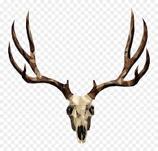 Mule Deer Skull Drawing Deer Antler Hd Png Download Vhv Large collections of hd transparent deer skull png images for free download. mule deer skull drawing deer antler