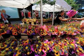 Jun 01, 2021 · watertown, wis. Minneapolis Farmers Market On Nicollet Mall Flower Shop Farmers Market Flowers Flowers For Sale Flower Store