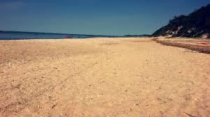 Maybe you would like to learn more about one of these? Wildwood State Park Wading River 2021 All You Need To Know Before You Go With Photos Tripadvisor