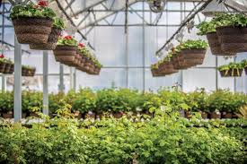 Experience the teleflora florist difference for yourself. Growing Plants For Growing Demands Idahofallsmagazine Com