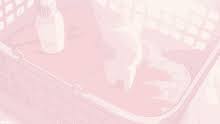 Maybe you would like to learn more about one of these? Pink Aesthetic Wallpaper Pc Gif Love Inspiration