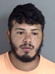 POLICE REPORTS: Hummingbird neighbors get feathers ruffled over trash