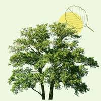 Avis de décès Fred Ellis HUMPHREYS