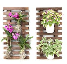 Artificial plants white decoration sea living room background wall plant wall hanging artificial branches coral aquariums. Amazon Com Wall Planter 2 Pack Wooden Hanging Planters For Indoor Plants Wall Mount Plant Stand Ladder Outdoor Vertical Garden Unique Live Orchid Planter Holder Display Large Wall Decor For Living