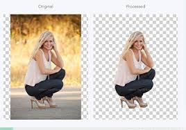 Best Auto Background Remover That You Should Have This app will help you to remove the background of any image and change it with any image you want, you can remove the background automatically or manually you can also add.