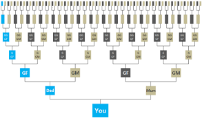 Y Dna The Direct Paternal Line Genie1