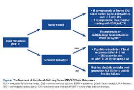 Systemic Treatment Options For Brain Metastases From Non Small Cell Lung Cancer Cancer Network