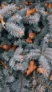 The Perfect Set Of Wallpapers For Your New Iphone Xr Preppy Wallpapers Wallpaper Iphone Christmas Cute Christmas Wallpaper Preppy Wallpaper
