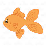 Find the perfect orange fish (and invertebrate) that pops in your planted aquarium. Abeka Clip Art Light Orange Fish With A Large Tail Fin