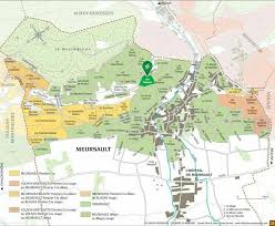 Meursault Wine Regions Of France Guia De Vinhos Vinho Frances Wine Vinhos