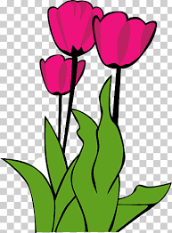 Please to search on seekpng.com. Tulip Bunga Raya Leaf Plant Stem Flower Garden Png Klipartz
