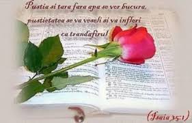 Poze Despre Prietenie Frumushika Pagina 2