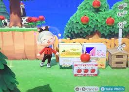 Animal Crossing Fruit Cardboard Box Complete Set Etsy In 2021 Animal Crossing Japanese Animals Animal Crossing Game