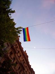 Compra tu bandera lgbt, gay, bisexual o transgenero en tu tienda online de confianza. File Bandera Gay Marcha Orgullo Lgbt Buenos Aires Jpg Wikipedia