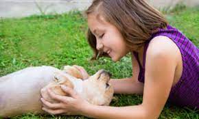 Use the best pest control companies to get rid of unwanted bugs, rodents and reptiles, both inside and outside your home or business. Organic Pest Control San Antonio Apple Pest Control