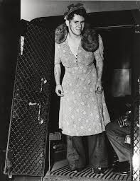 Pin By Fur Insider On Razo Weegee Weegee Photography Photographer