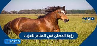 فسر ابن سيرين أن الثعبان الكبير هو رمز عن العدو الغادر. Ø±Ø¤ÙŠØ© Ø§Ù„Ø­ØµØ§Ù† ÙÙŠ Ø§Ù„Ù…Ù†Ø§Ù… Ù„Ù„Ø¹Ø²Ø¨Ø§Ø¡ Ù…ÙˆÙ‚Ø¹ Ù…Ø­ØªÙˆÙŠØ§Øª