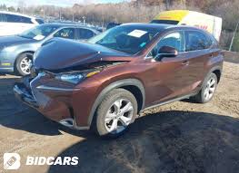 Image result for Autumn Shimmer 2017 NX