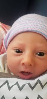 The Wyandot Connection. What follows is information