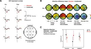 Doch was bedeuten die buchstaben s, m, l und xl. A Randomized Controlled Trial To Examine The Effect Of Two Teaching Methods On Preschool Children S Language And Communication Executive Functions Socioemotional Comprehension And Early Math Skills Bmc Psychology Full Text