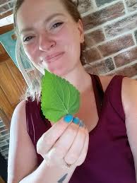 Star Anise tea is good for…..