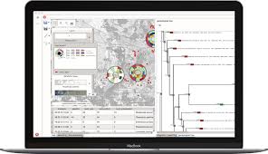 General manager (american football), general manager (baseball), general manager (basketball), list of national hockey league general managers, and sports management. Datalyze Solutions