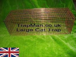3 dealing with a trapped cat. Cat Trap Trap Man Feral Cat Trap Humane And Effective Feral Cat Trap How To Catch A Feral Cat Using The Trap Man Live Catch Humane Feral Cat Trap Cage The Trap Man