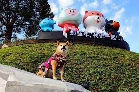 帶毛小孩衝一波 亞洲最大寵物樂園 啵比星球