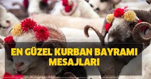 Vatandaşlar sevdiklerine bayram mesajı göndermek için en güzel bayram mesajlarını aratıyor. Kurban Bayrami Mesajlari 2020 En Guzel Ve Anlamli Resimli Resimsiz Bayram Mesajlari Takvim