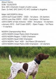 The current median price for all german shorthaired pointers sold is. Studs German Shorthaired Pointers Palermo Ranch Kennels