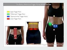 rectus abdominis trigger points a six pack of deception