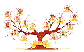 Annonce compare the top sites for creating a family tree. 11 Istilah Pohon Keluarga Dalam Bahasa Inggris Lengkap