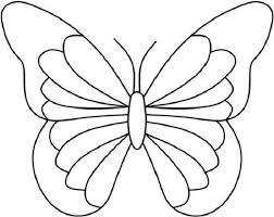Unduh 640 gambar animasi kartun kupu kupu hd terbaru. 35 Gambar Sketsa Kupu Kupu Cantik Terlengkap Koleksi Gambar Sketsa Terlengkap