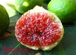 Stannum) and atomic number 50. Pelbagai Jenis Buah Tin Buah Tin Malaysia Facebook