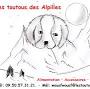 Les Toutous des Alpilles from www.lestoutousdesalpilles.fr