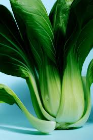 Boiled bok choy · bring a pot of water to boil and add 1 tablespoon salt. Everything You Need To Know About Cooking And Shopping For In Season Bok Choy Stories Kitchen Stories