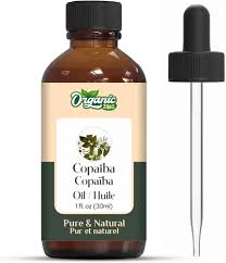 Image result for Copaifera