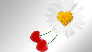 Backgrounds for wide screen monitors. Best 33 Florist Wallpaper On Hipwallpaper Florist Wallpaper Florist Background Christmas Wallpaper And Florist Mountain Lake Wallpapers