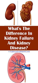 Kidney Disease Diet Recipes Kidney Disease Symptoms Polycystic Kidney Disease Kidney Disease