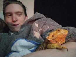 Discovering the Gender of a Bearded Dragon