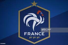 A Picture Shows The Emblem Of The French Football Federation During A Sepak Bola Gambar Olahraga