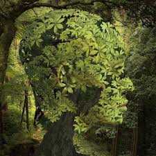 Kafayi Ve Beyni Bol Oksijenli Resmeden Illustrator Igor Morski Surrealistische Kunst Surrealismus Malerei Bilder