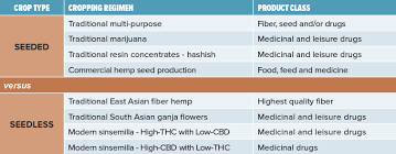 Seeded Vs Seedless Hemp Grower